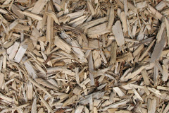 biomass boilers Bockings Elm